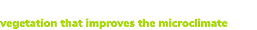 Thoughtfully designed green spaces with vegetation that improves the microclimate