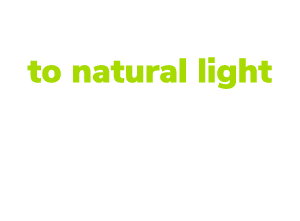 Excellent access to natural light