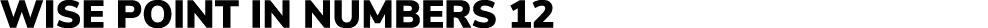 Wise Point in numbers 12