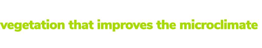 Thoughtfully designed green spaces with vegetation that improves the microclimate 