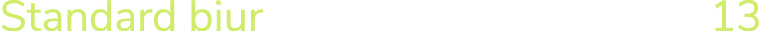 Standard biur 13