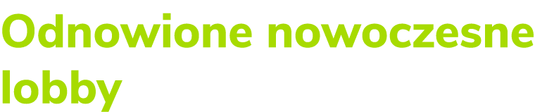 Odnowione nowoczesne lobby