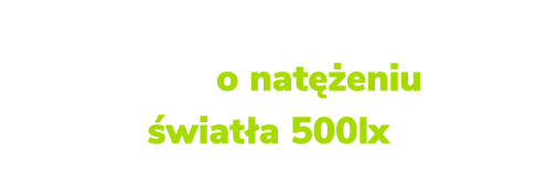 O wietlenie stanowisk pracy o nat eniu  wiat a 500lx