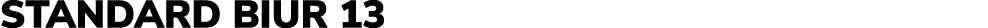 Standard biur 13