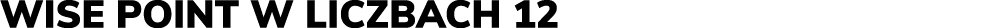 Wise Point w liczbach 12