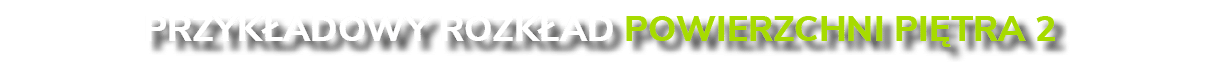 Przyk adowy rozk ad powierzchni pi tra 2