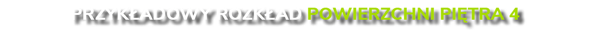 Przyk adowy rozk ad powierzchni pi tra 4