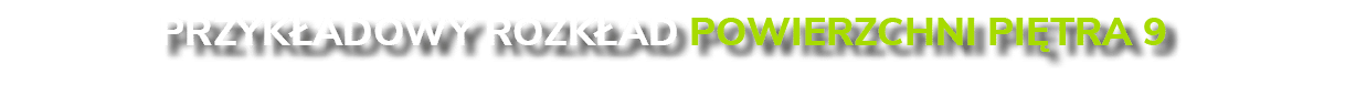 Przyk adowy rozk ad powierzchni pi tra 9